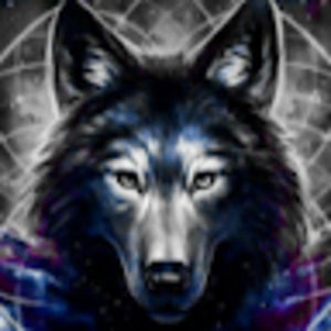 Meet your Posher, Tania